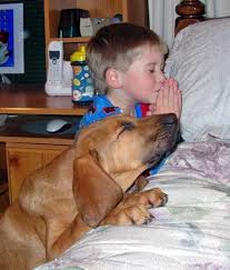 praying-cuteness