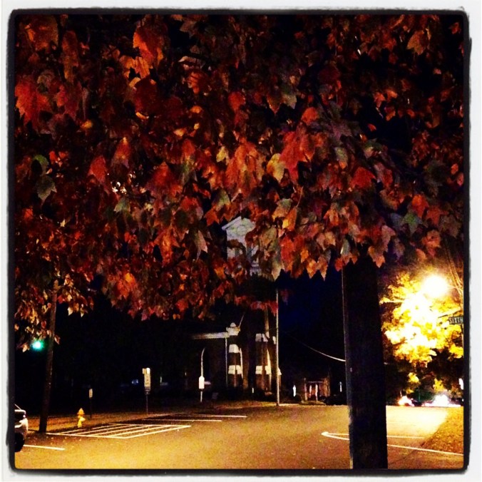 This doesn't come close to capturing the wide range of colors.