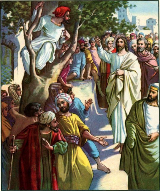 Zacchaeus in the Scyamore Tree Luke 19:2-5