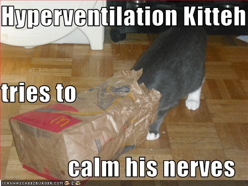 hyperventilation_kitty