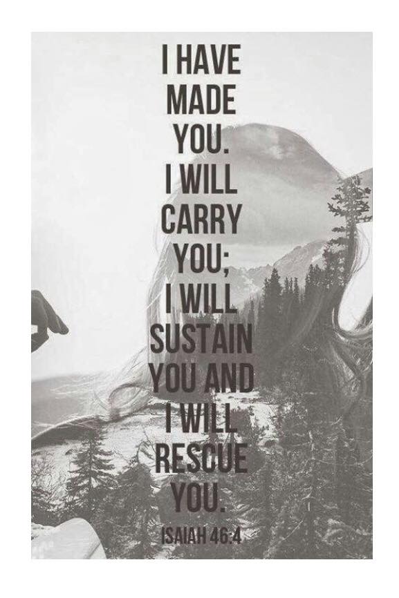 13532927_10153554171337212_398448994427533201_n