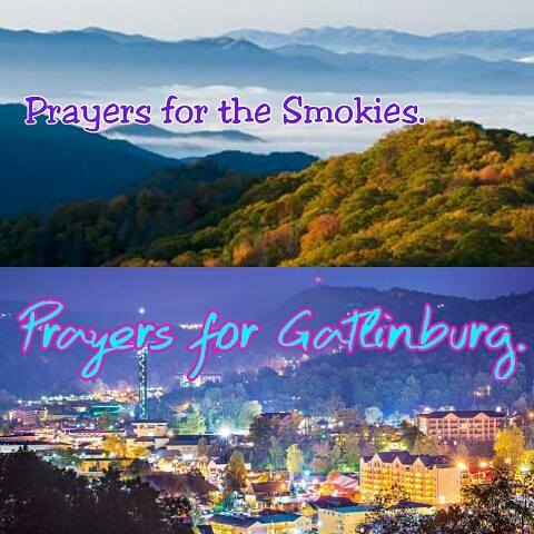 15178250_1458833300811951_5787307232565487719_n